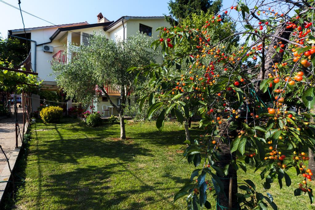 Apartments Milica أوماغ المظهر الخارجي الصورة